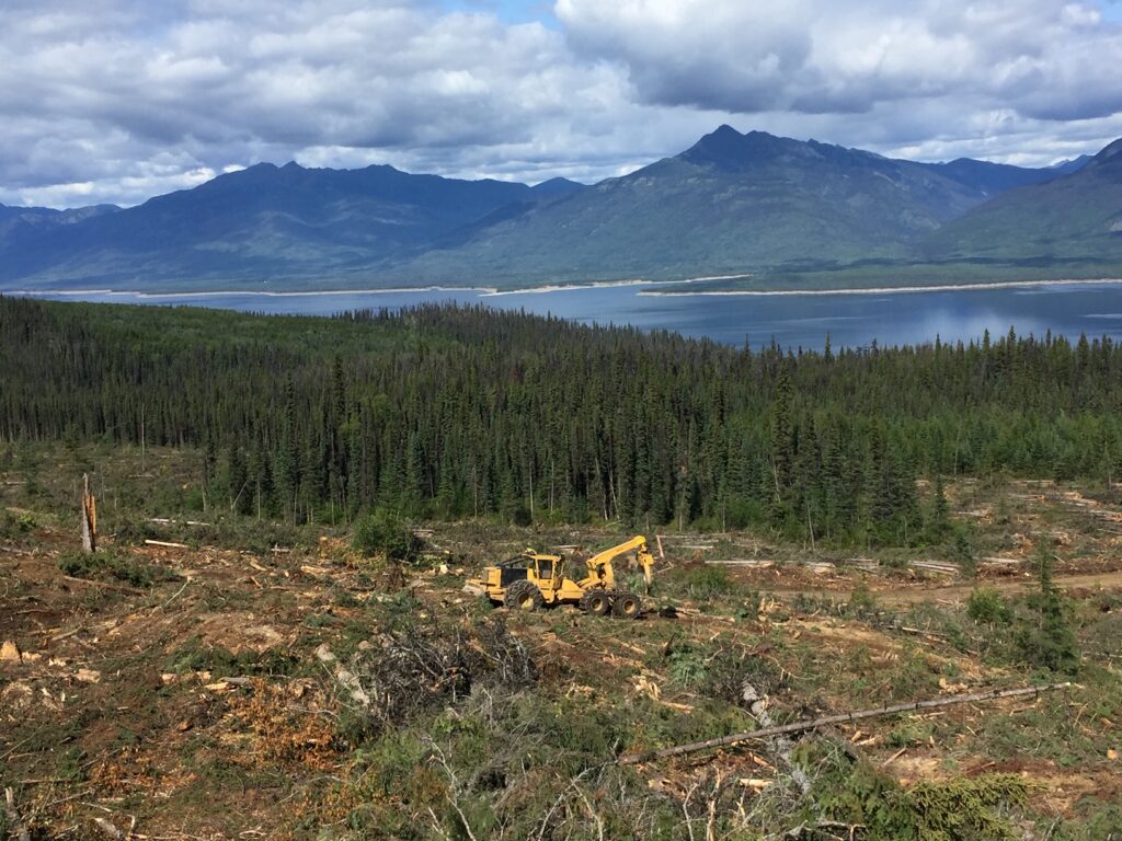 Interior Logging & Forestry Services, K&D Logging