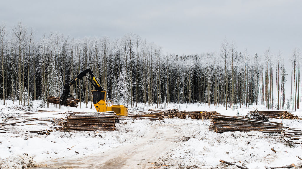 Forestry - Fuelchief  Logging Contractors Bulk Fuel & Portable